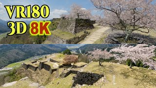 [ 8K 3D VR180 ] 天空の城「竹田城」と桜（兵庫県朝来市） Takeda castle ruins on the mountaintop in Hyogo,Japan