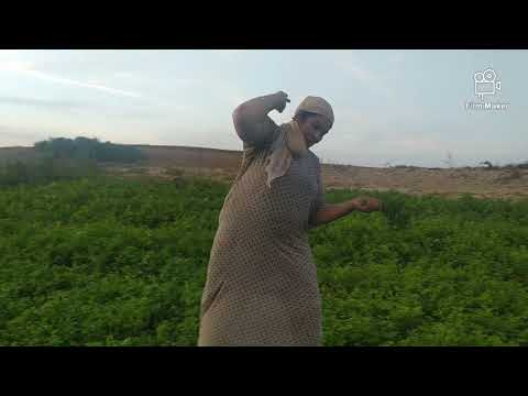 مارحبة بكوم في ابدي احسن نهر مع لعءلا دخلو تشوفو