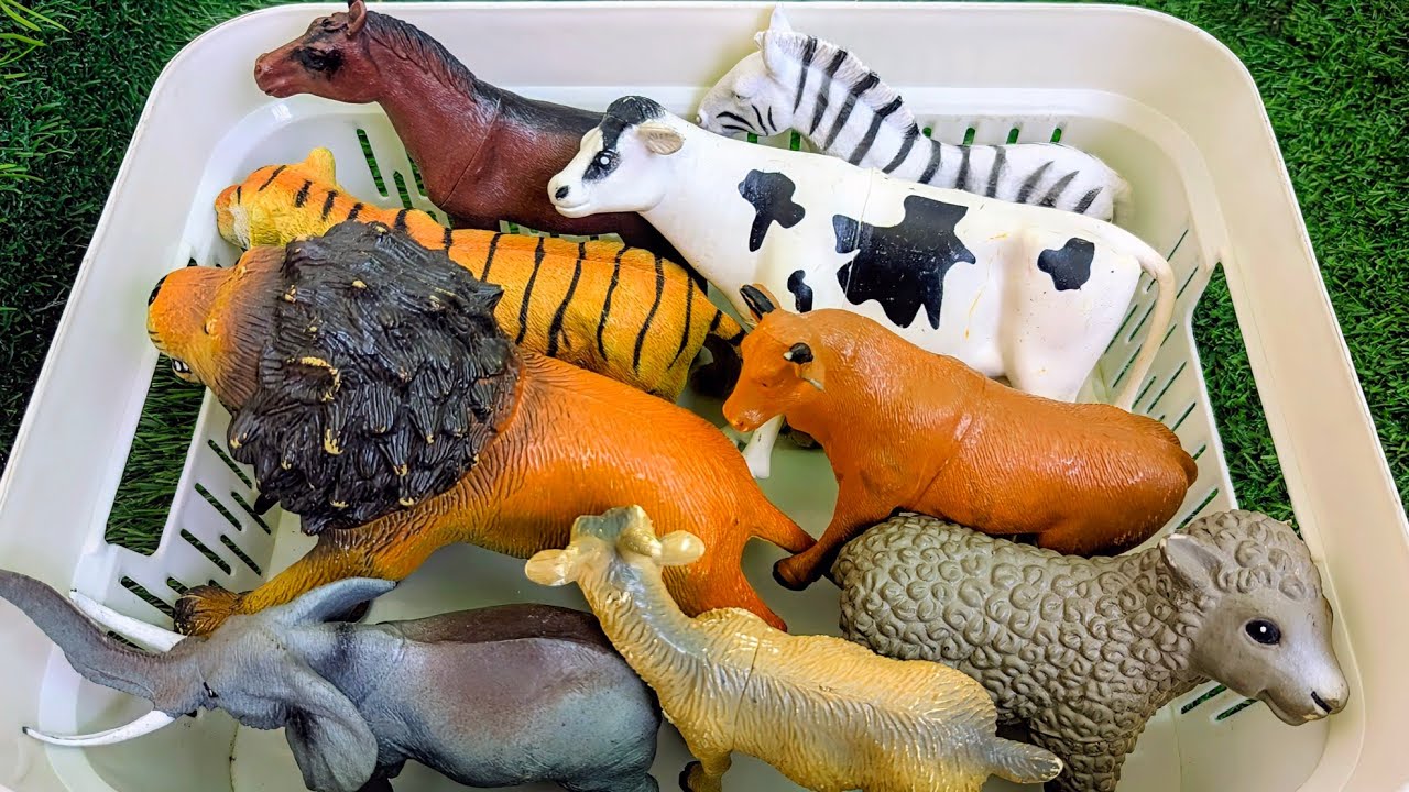 Сельскохозяйственные и дикие животные джунглей для детей | Лучший словарь терминов, связанных с ж...