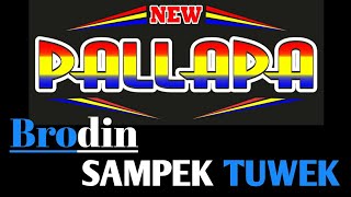 Brodin - Sampek Tuwek || Lirik || New Pallapa√