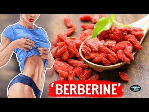 Berberine: A Powerful Supplement With Amazing Benefits