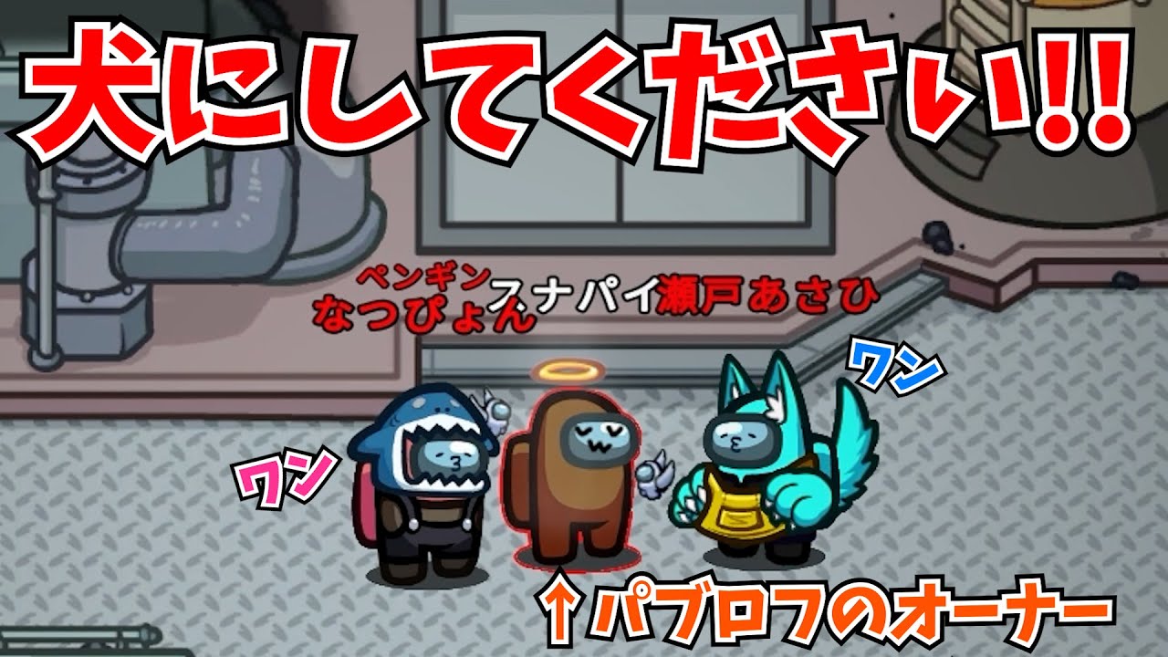 【近アモ】キルしようとした人がパブロフのオーナーだったｗｗｗ