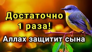 видео: ☝️ ЭТО САМАЯ СИЛЬНАЯ МОЛИТВА ЗА СЫНА!СПАСЁТ ОТ БЕДЫ ЗЛЫХ ЛЮДЕЙ ПОРЧИ СГЛАЗА СИЛЬНЫЙ ОБЕРЕГ!  🤲✨💯 картинка: ☝️ ЭТО САМАЯ СИЛЬНАЯ МОЛИТВА ЗА СЫНА!СПАСЁТ ОТ БЕДЫ ЗЛЫХ ЛЮДЕЙ ПОРЧИ СГЛАЗА СИЛЬНЫЙ ОБЕРЕГ!  🤲✨💯