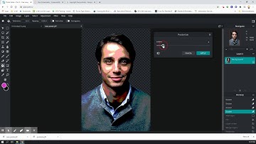 Posterize in Pixlr E