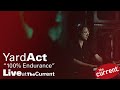 Yard Act -- 100% Endurance (live on The Current)