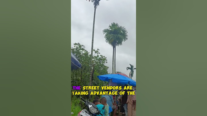 Street Vendors Seek Fortune at Festival Celebration #FestivalVibes #StreetVendors #SmallBusiness