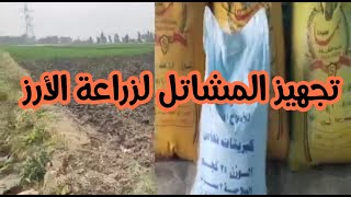 أفضل ميعاد لزراعة الأرز وكمية التقاوى للفدان والتجهيز للمشاتل وأشياء لابد من تجهيزها لوضعها للمشتل