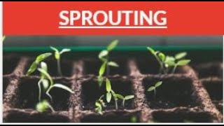 Growing With Canvas Module Tutorial 3 6