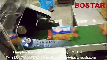 Fully Automatic Horizontal Pillow Bag Rotary Packing Line for Laundry Soap Bar Packaging Machine