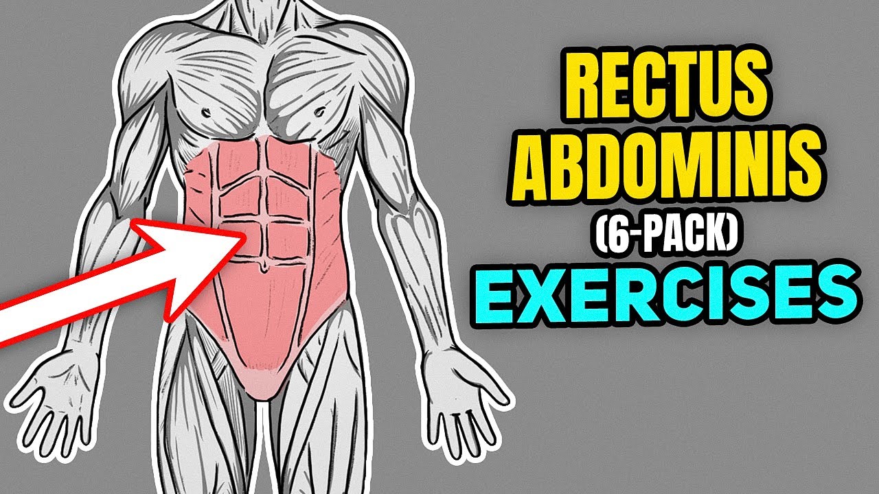How to Strengthen Your Rectus Abdominis (6-Pack) Muscle 