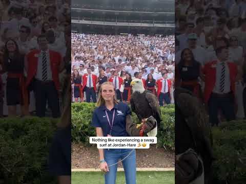 In honor of 25 years of War Eagle flights at Auburn 🏄🦅 (via @pickles_814/TT, @auraptorcenter/TT)