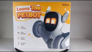 Loona Robot Petbot!