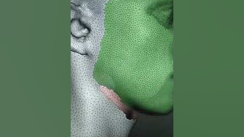 Meshmixer mesh rebuild for 3d scan face