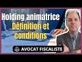 Holding animatrice  dfinition et conditions en 2023