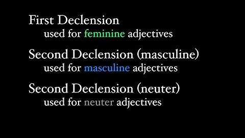 First and Second Declension Adjectives