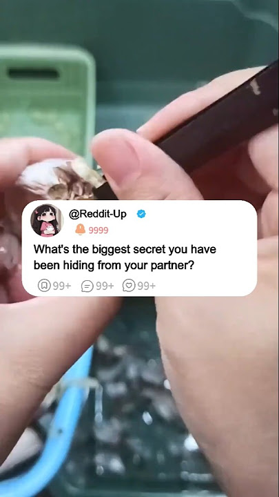 Wha's the biggest secret you havebeen hiding from your partner?#reddit #story #redditis #stories