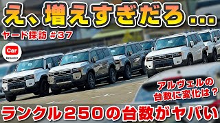 【え、増えすぎ...】ランクル250の台数がヤバい アルヴェルの台数に変化、年次改良モデルはどうなる?  | アルファード ヴェルファイア トヨタ ランクル300  toyota alphard