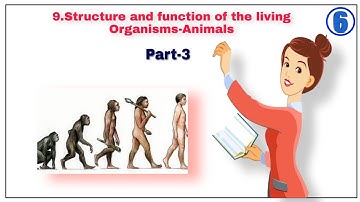 THE STRUCTURE AND FUNCTION OF  LIVING ORGANISMS- ANIMALS ( PART 3)CLASS 6 SCIENCE CH-9 IN ENG AND HN