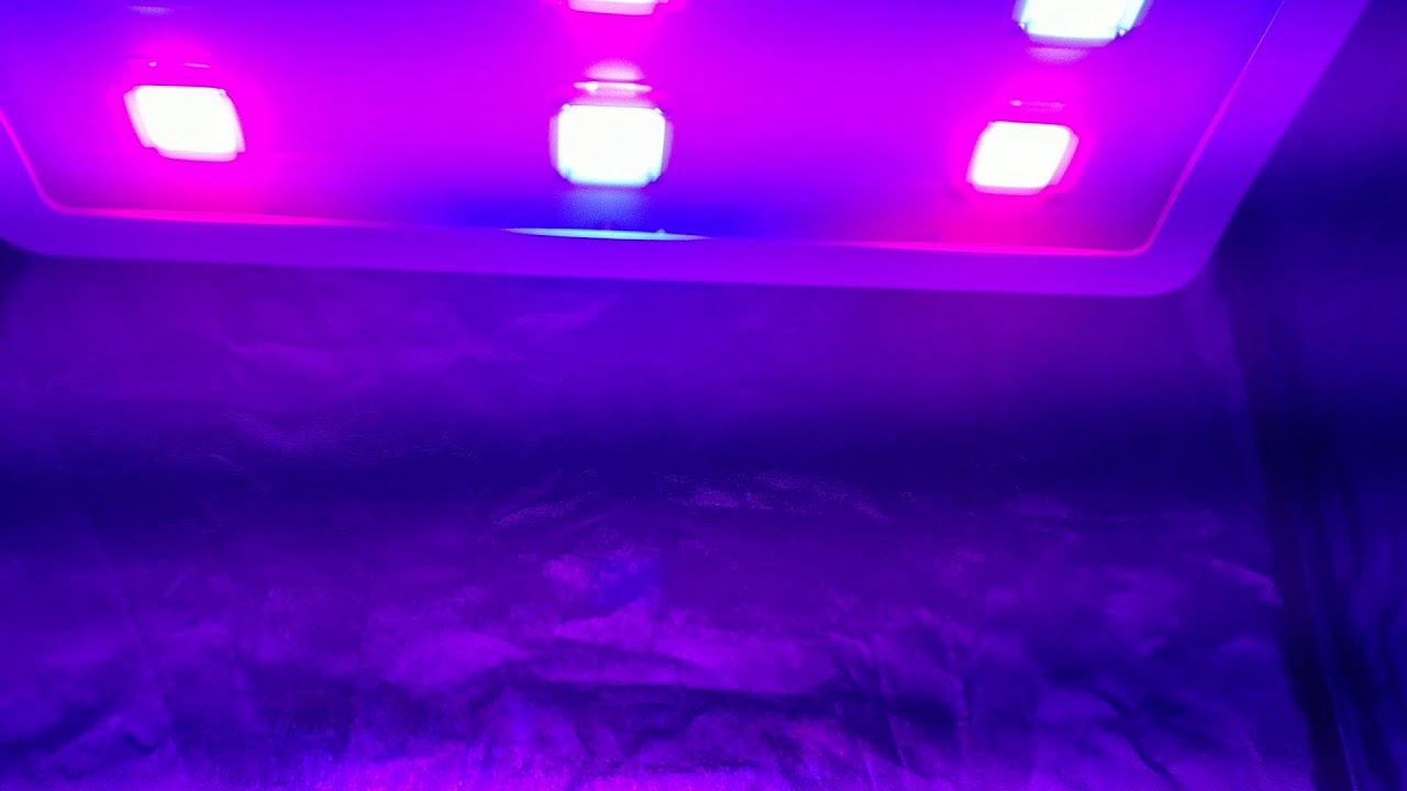 Flower/Veg LED COB CREE LED Grow Light - 400watts - Hydroponic Light Canada