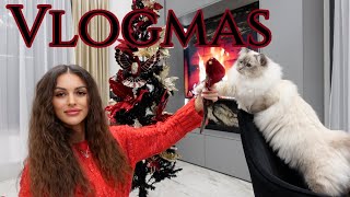 #Vlogmas1 - příprava na Vánoce, výzdoba a co je nového?