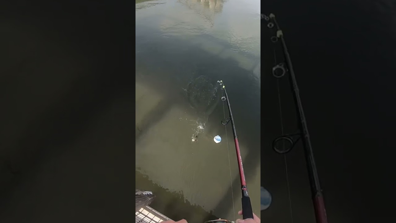 Unexpected Catch