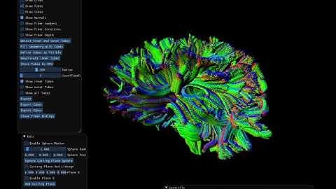 C++ / OpenGL visualization of a brain
