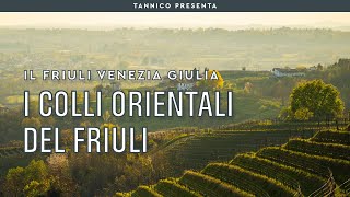Wine from the Eastern Hills of Friuli | Tannico Flying School Wine from the Eastern Hills of Friuli | Tannico Flying School