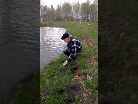 Эх, такую рыбу упустил!
