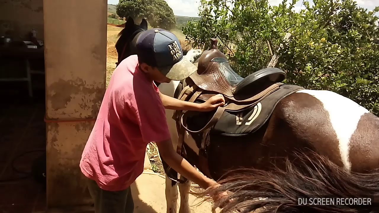 Como fazer para selar um cavalo (caveiros e animais) - YouTube