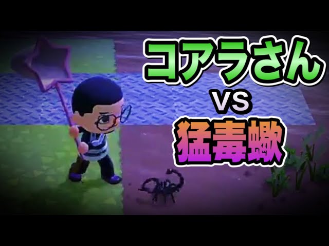 【あつ森】コアラさん扮する闇金業者「エソジマくん」を実況する【あつまれどうぶつの森】【アナウンサー】【たいきち】【ゲーム実況】