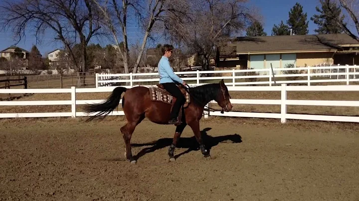 Nancy Blackmon, Littleton, CO