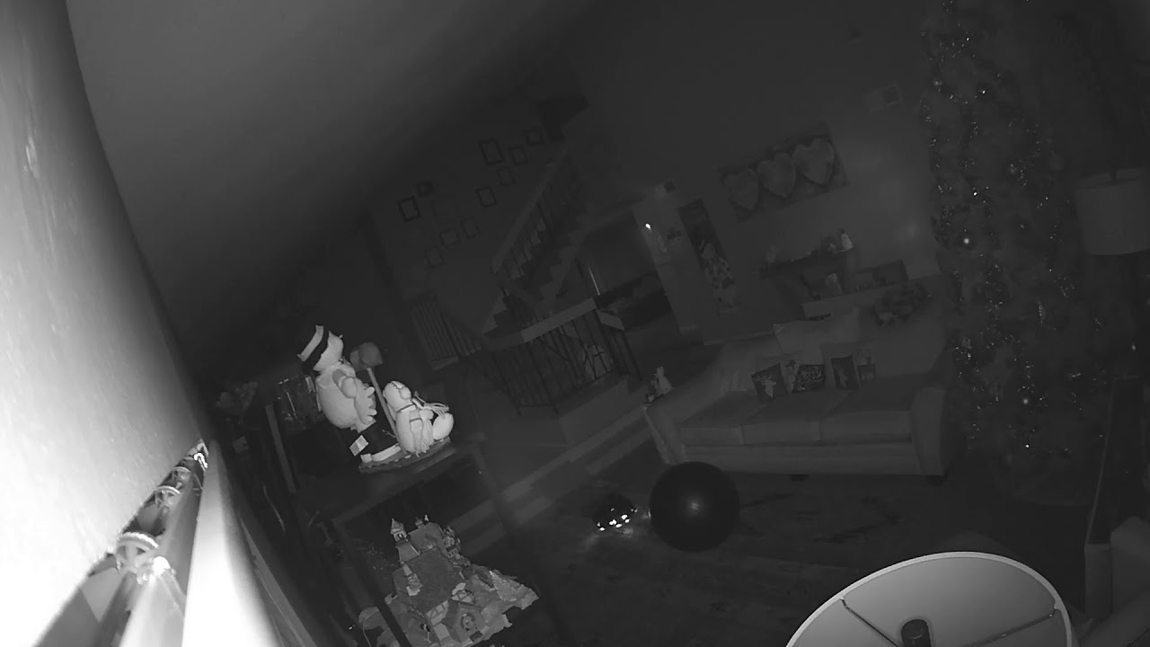 Roomba Escape vacuuming rooms he shouldn't YouTube