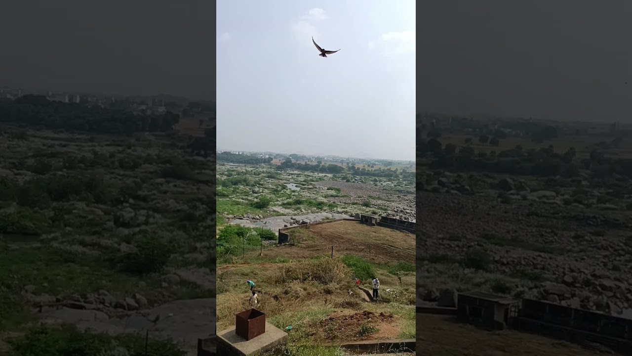 Lower Manair Dam Karimnagar 