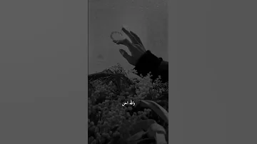 جمالك غير عبدالله ال فروان 