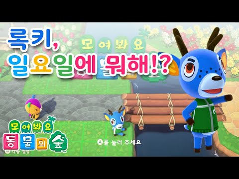모동숲 록키, 일요일에 뭐해 Animal Crossing Bam - YouTube 모동숲 록키, 일요일에 뭐해 Animal Crossing Bam - Youtube