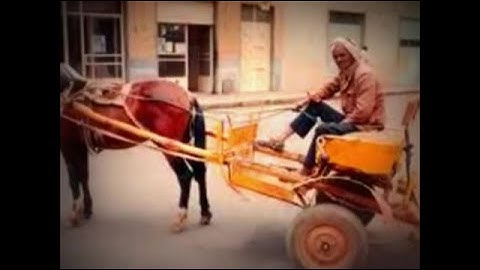 Eritrean Amoy TV  Karosa  ዝሮት ብካሮሳ አብ አስመራ