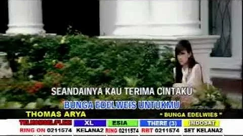 Thomas Arya - Bunga Edelweis [OFFICIAL]