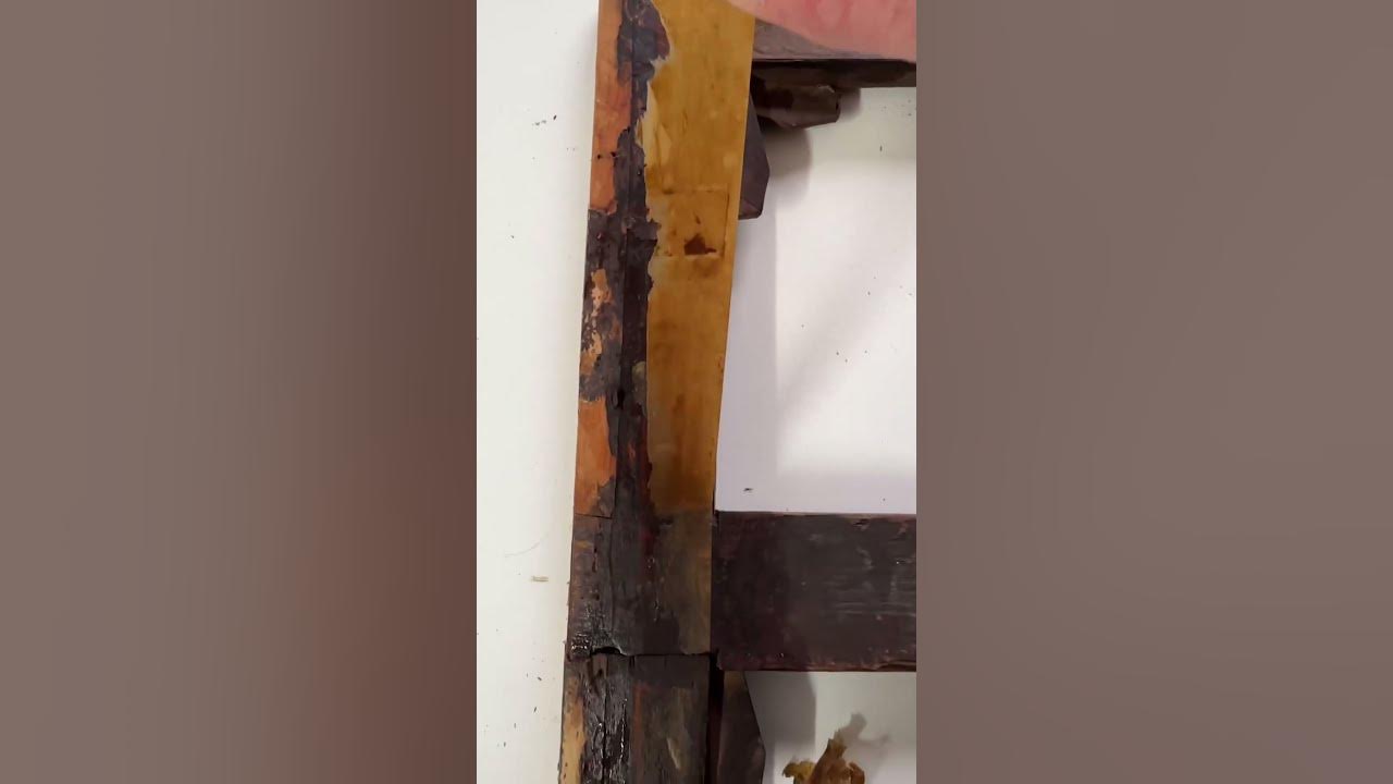 How to remove gummed brown framing tape from antique painting artrestoration 