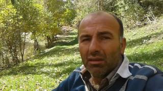 Bitliste Olan Enguzel Gulerimiz