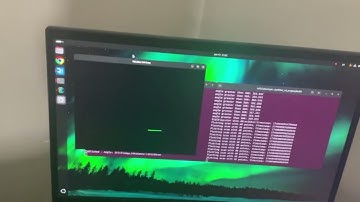 Real-Time YDLidar X4 Data Streaming with POSIX and ZeroMQ on Raspberry Pi