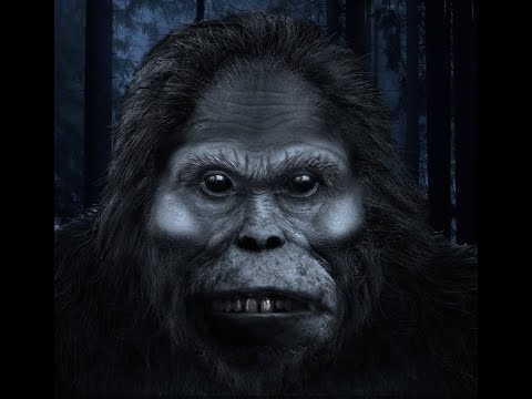 Paralyzed By A Spark From the Eyes of A Sasquatch Only Inches Away!