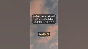 سورة فصلت الآية ١٦ الى ١٩ بصوت الشيخ محمد صديق المنشاوي