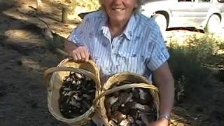 Morel Mushroom picking in Central Oregon