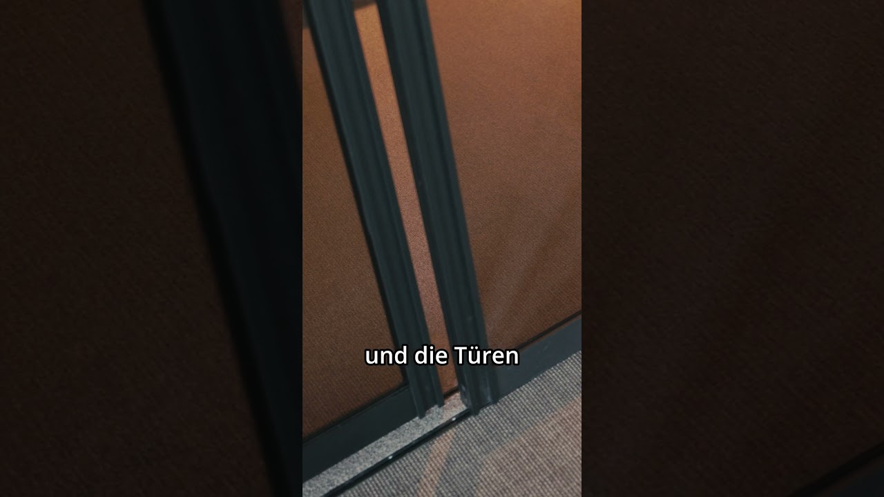 Schiebetür im Loftlook - kurz erklärt 🏡  