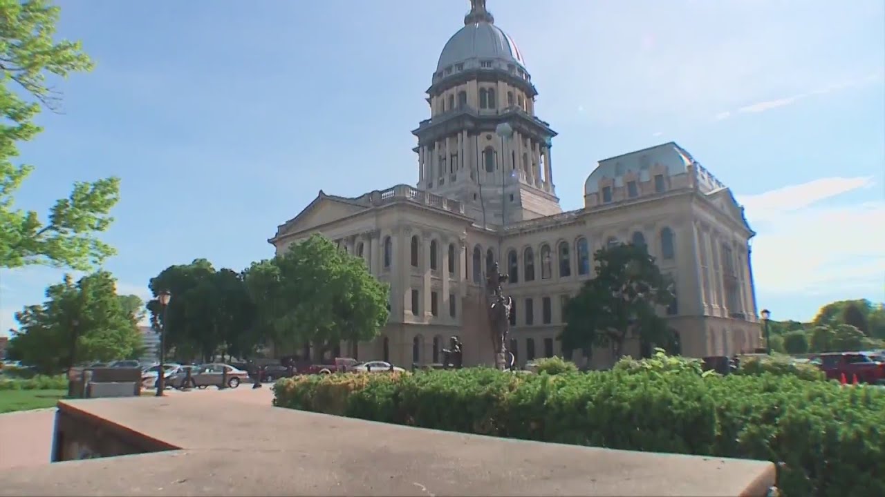 New Illinois laws beginning in the New Year - YouTube