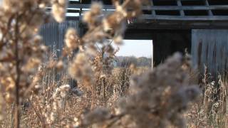 In the country B-roll - Milton, Canada