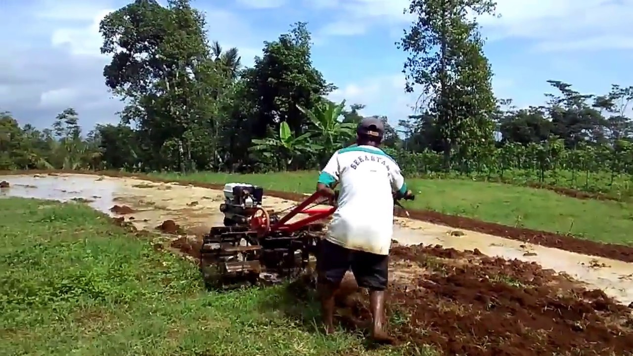 Belajar membajak sawah menggunakan traktor YouTube Belajar membajak sawah menggunakan traktor YouTube