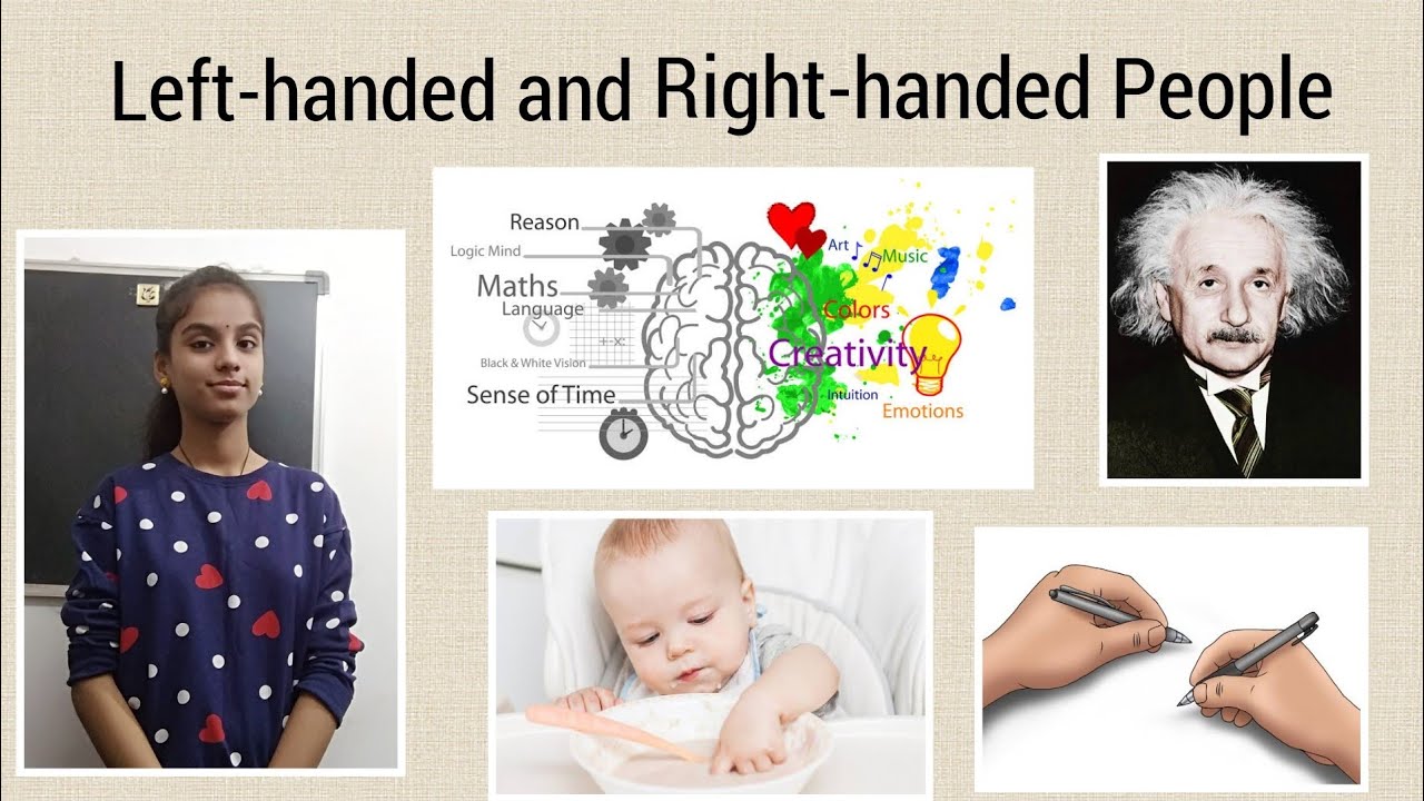 Why Do We Have Right handed And Left handed People Tanishka Kashyap why-do-we-have-right-handed-and-left-handed-people-tanishka-kashyap