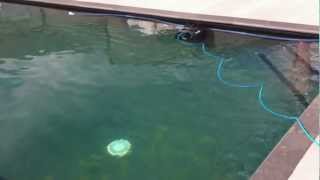 An old model "Admiral Ultra" Robotic Swimming Pool Cleaner in action, back in the day!!