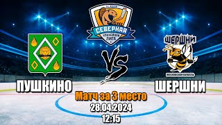 SHLIGA PLAY-OFF Рыцарь | МАТЧ ЗА 3 МЕСТО | Пушкино vs. Шершни | 28.04.2024